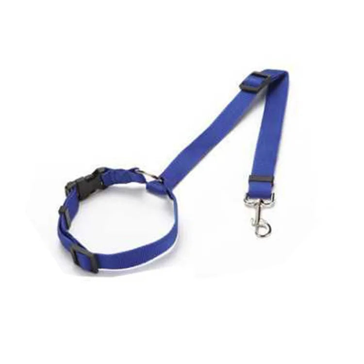 Ceinture Sécurité Voiture Chien – Fixation Universelle