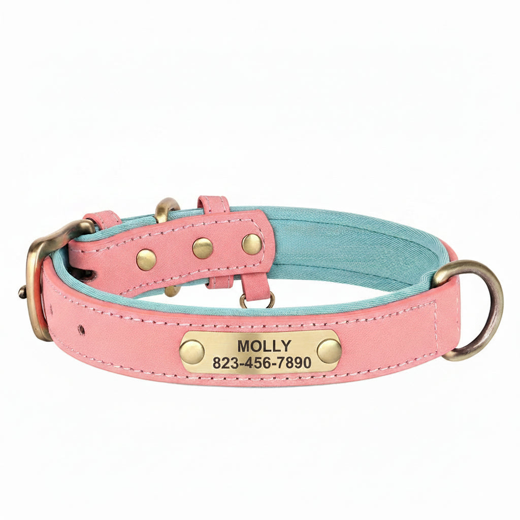 Collier Cuir Personnalisé Chien – Gravure Nom & Tél