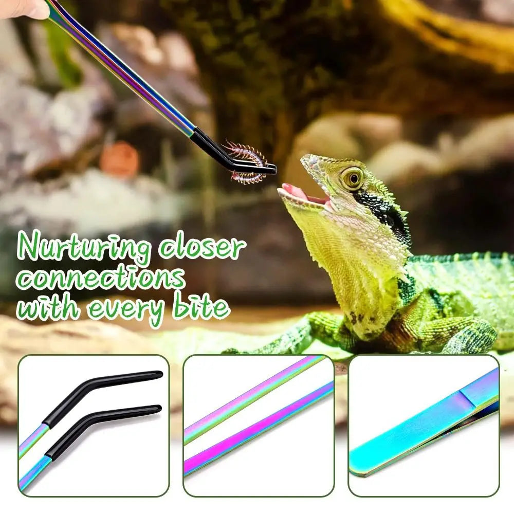 Pince Alimentation Longue Reptiles Poissons – Silicone Anti-Morsure