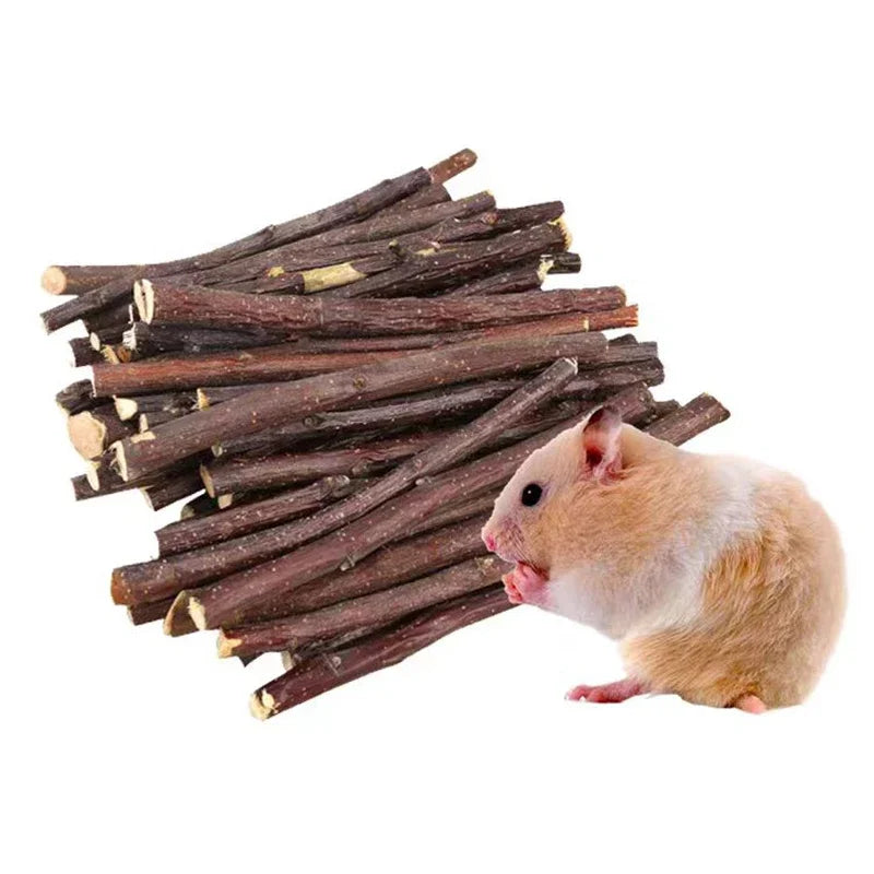 Fagots de Bois de Noisetier Naturel pour Rongeurs — Soin Dentaire & Enrichissement
